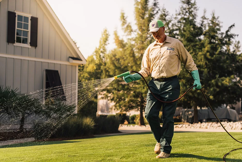 weed killers