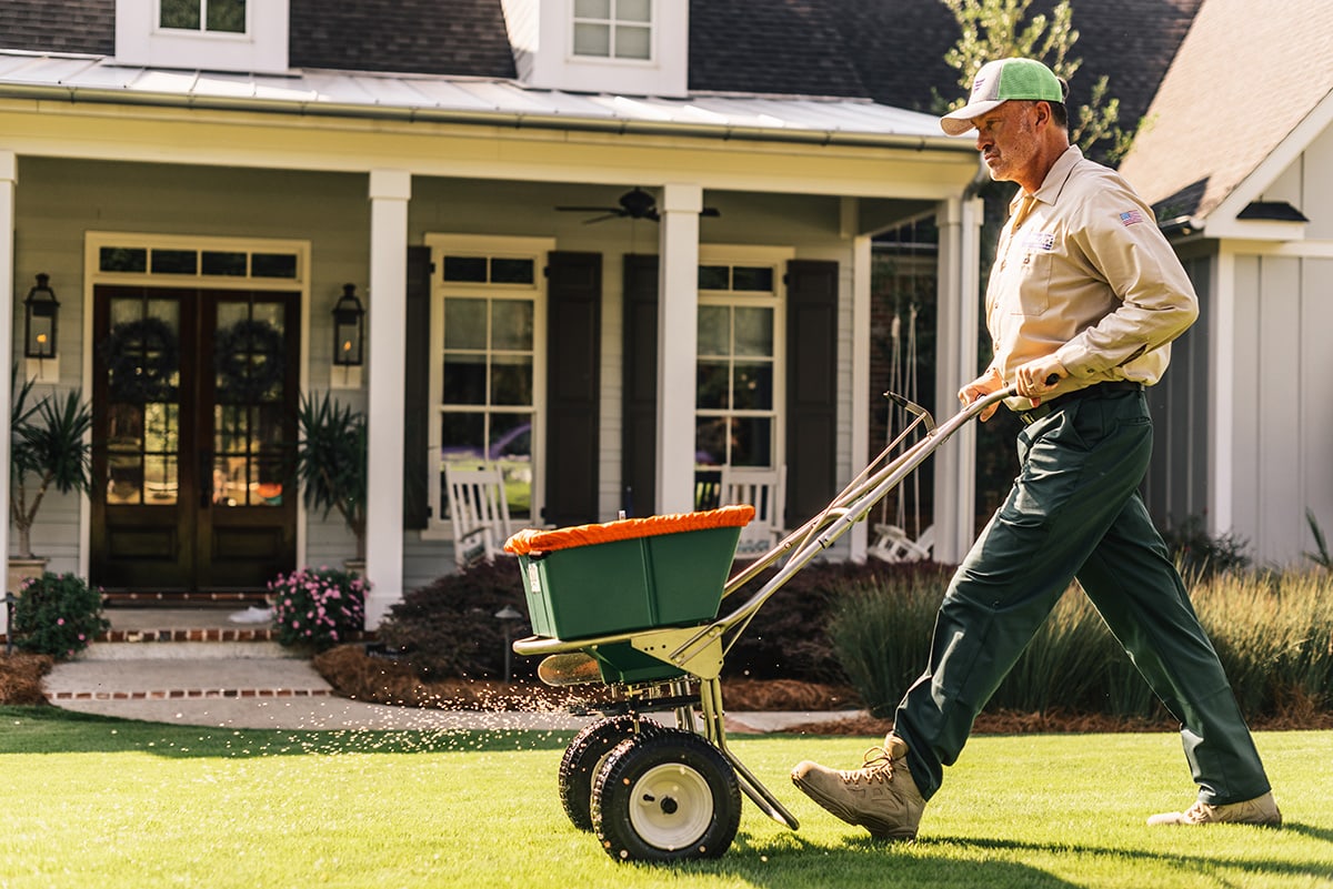 Lawn Ace Lawn Care Turf Care Augusta GA, Evans Weed Control