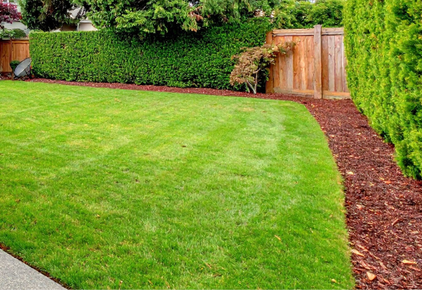 Affordable-Liquid-Aeration-Services-in-Augusta-Grovetown