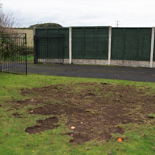 White chafer grub against the background of the soil. Larva of the May beetle. Agricultural pest.